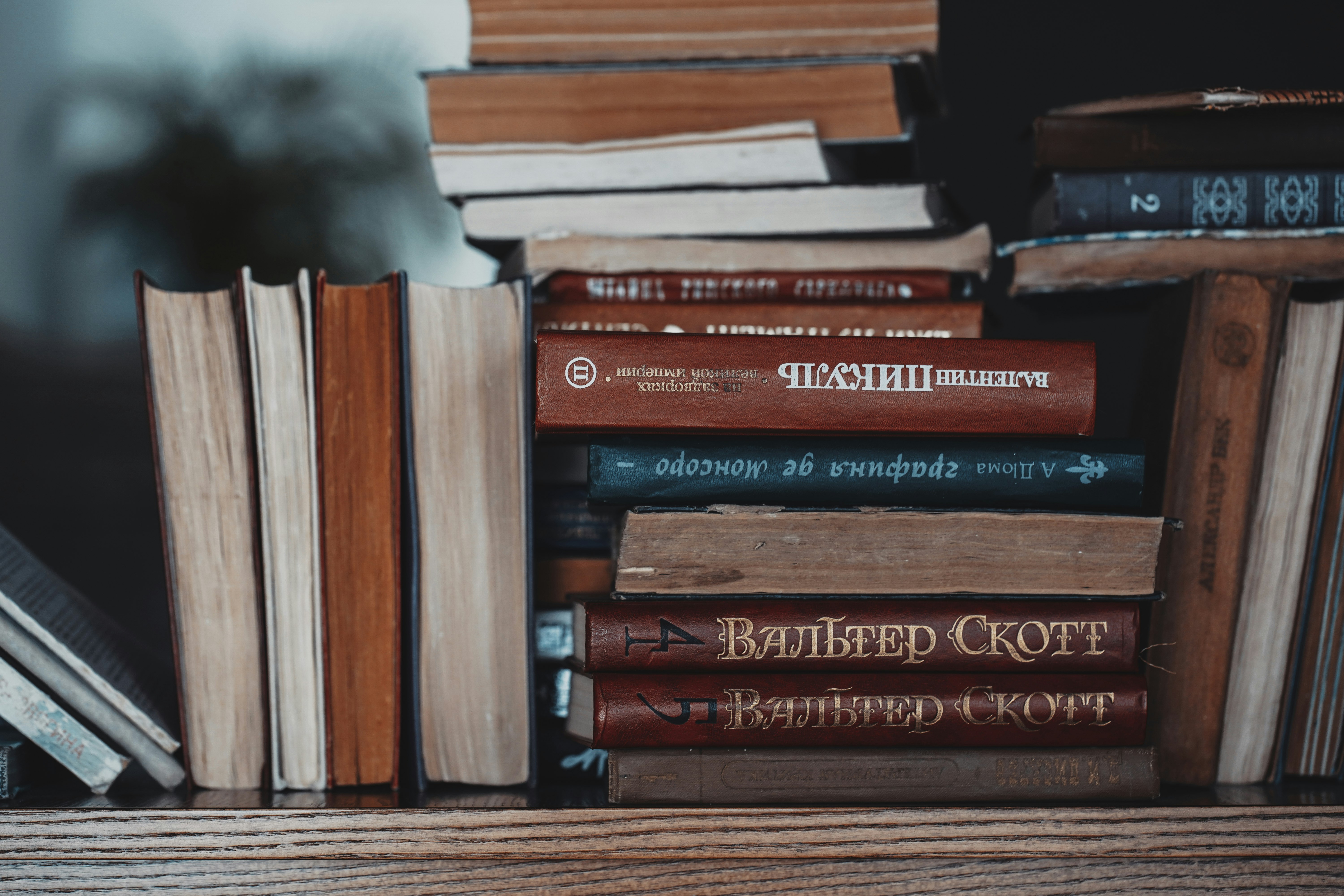 books on brown wooden shelf